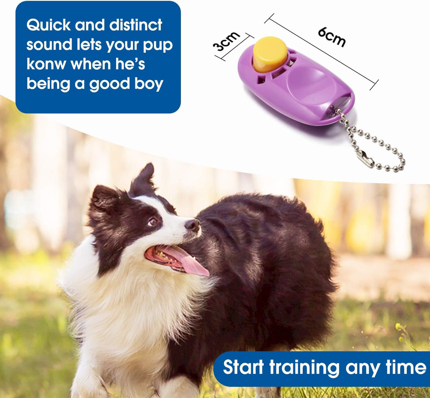 15203050100 Ft Long Dog Training Leash with Clickers for Small