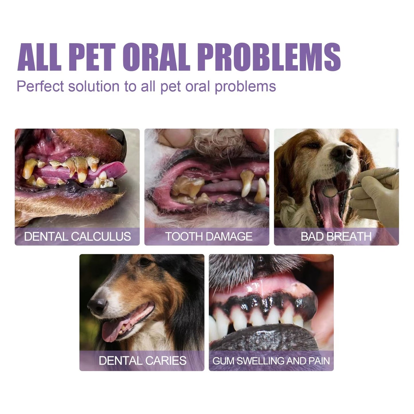 FreshPaws Pet Oral Repair Gel